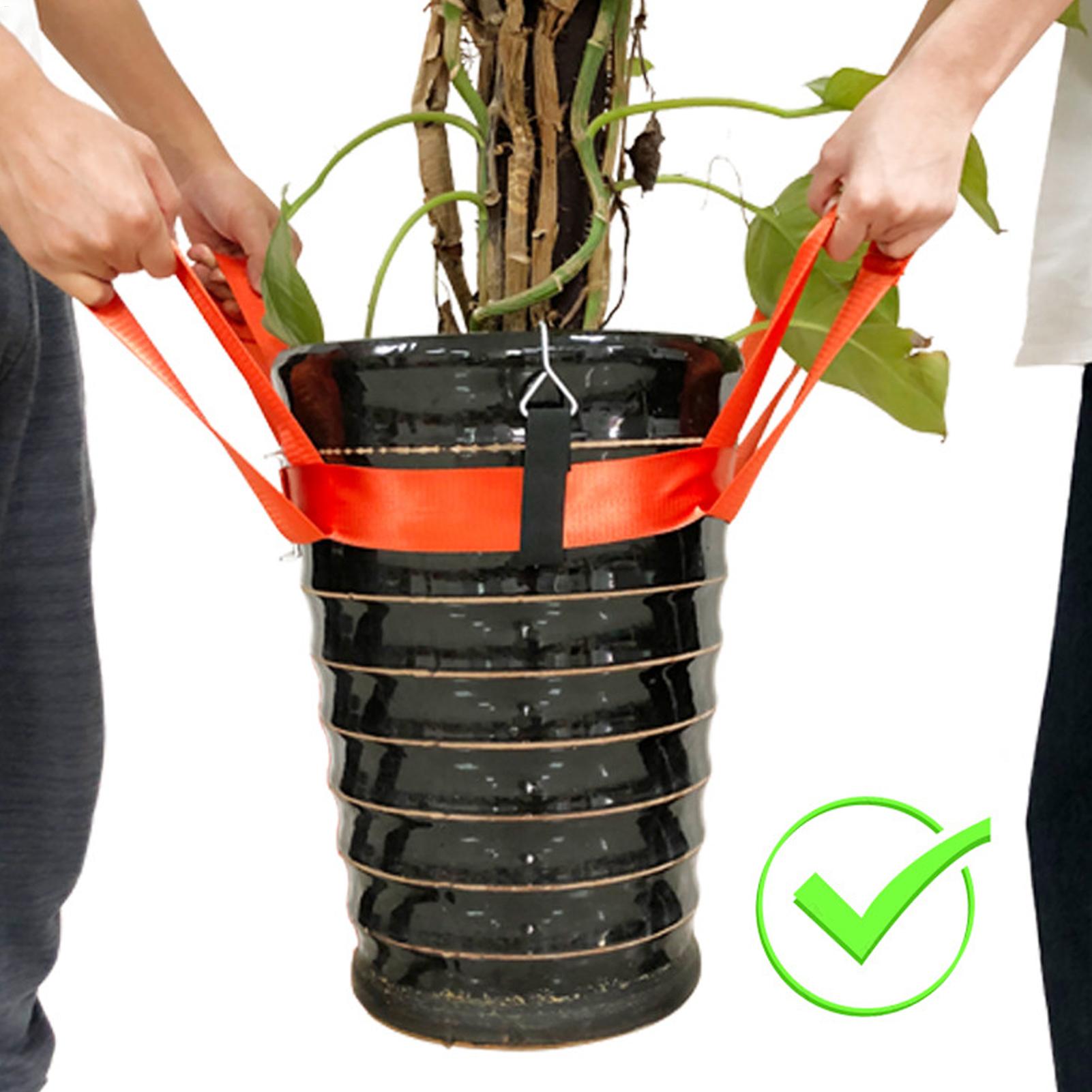 Sangle de levage pour aménagem - Lifting Belt avis et prix